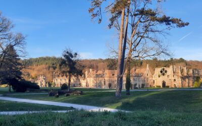 Bonifier l&rsquo;offre de Wellphi !